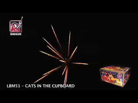 Cats in the Cupboard