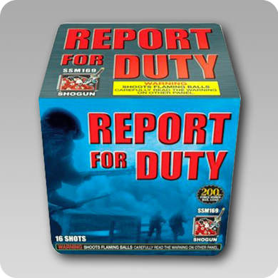 Report For Duty