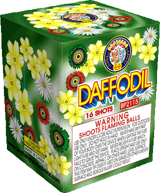 Daffodil